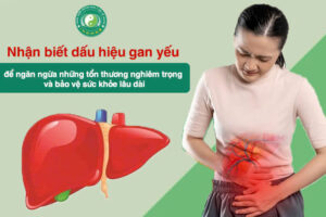 NHẬN BIẾT DẤU HIỆU GAN YẾU