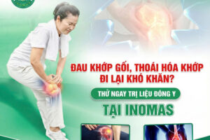 Điều trị đau khớp gối – thoái hóa khớp bằng xoa bóp, điện châm và thảo dược: Giảm đau an toàn – phục hồi vận động tự nhiên