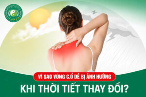Vì sao vùng cổ dễ bị ảnh hưởng khi thay đổi thời tiết?